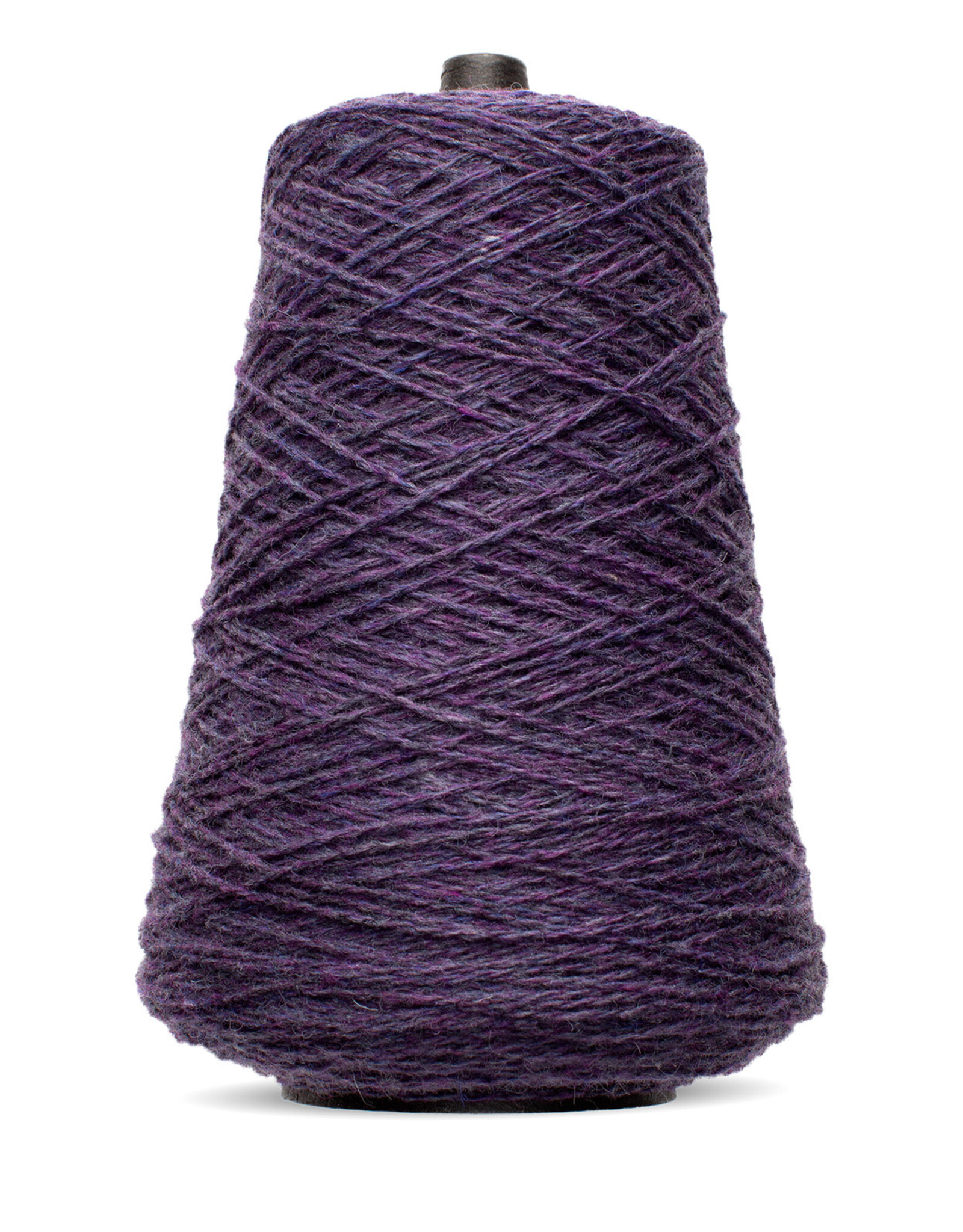 Shetland 8 oz Cone Delphinium