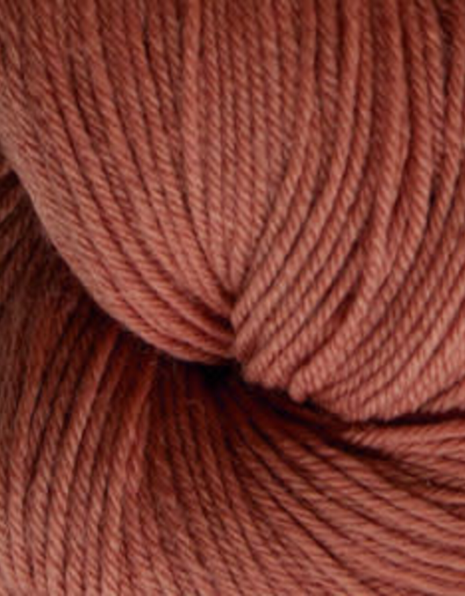 Cascade Heritage Sock 100g 5640 cinnamon