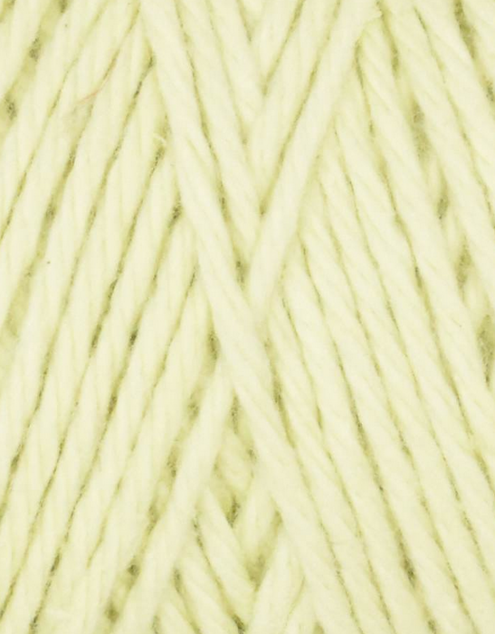 Queensland Coastal Cotton 100g #1013 Celadon