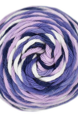 Queensland Coastal Cotton Coral Reef #5011 Box Jellyfish