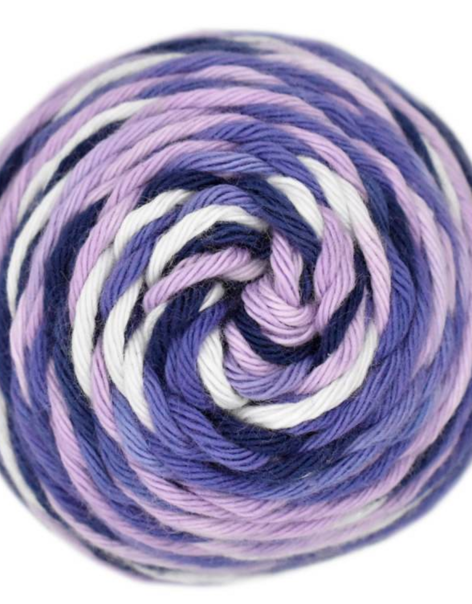 Queensland Coastal Cotton Coral Reef #5011 Box Jellyfish