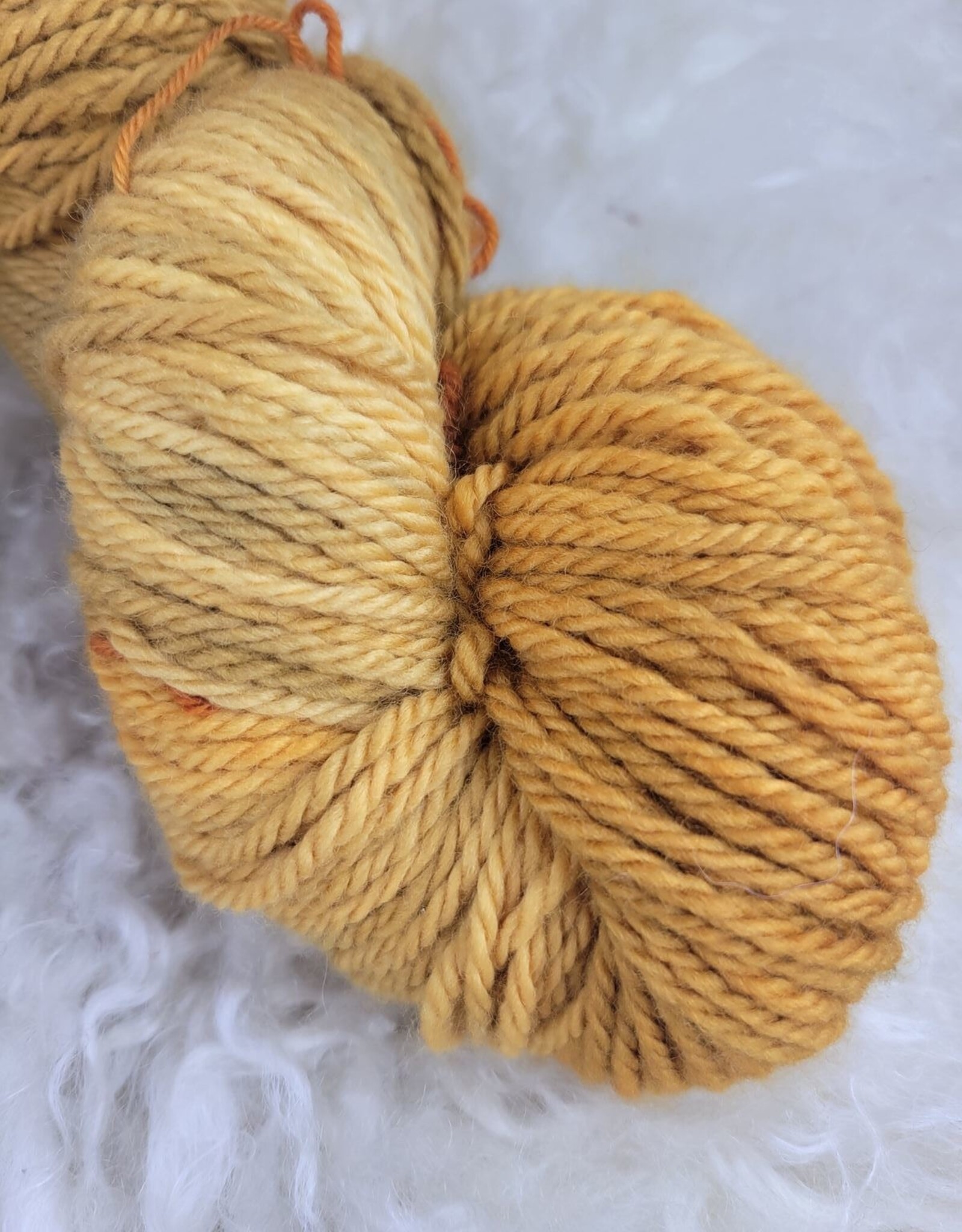 Palouse Yarn Owyhee Aran 100g Apricot Jam
