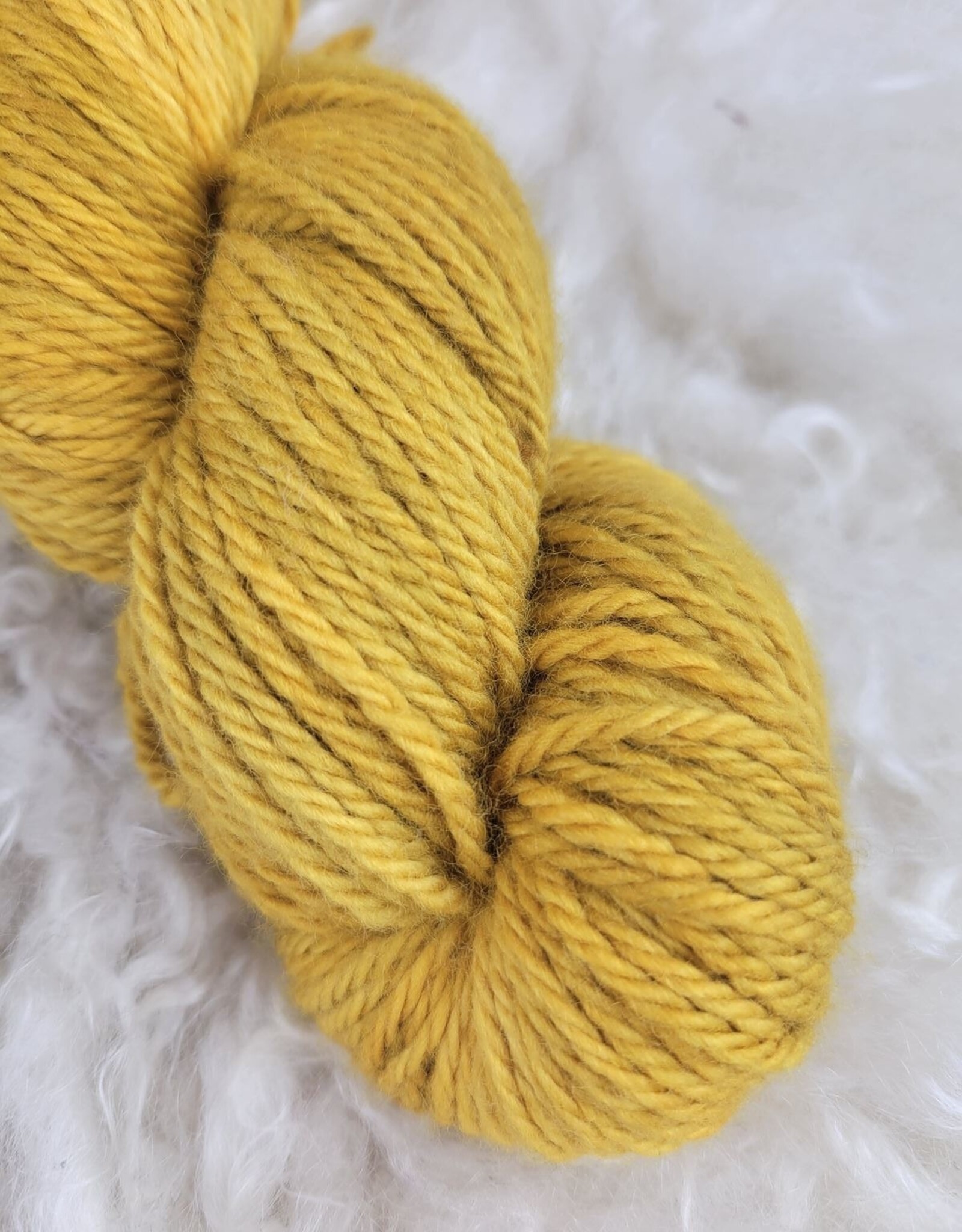 Palouse Yarn Owyhee Aran 100g Bottled Sunshine