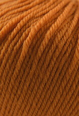 Cascade 220 SW Worsted 253 Desert Sun