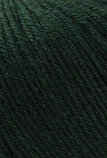 Cascade 220 SW Worsted 866 Forest H