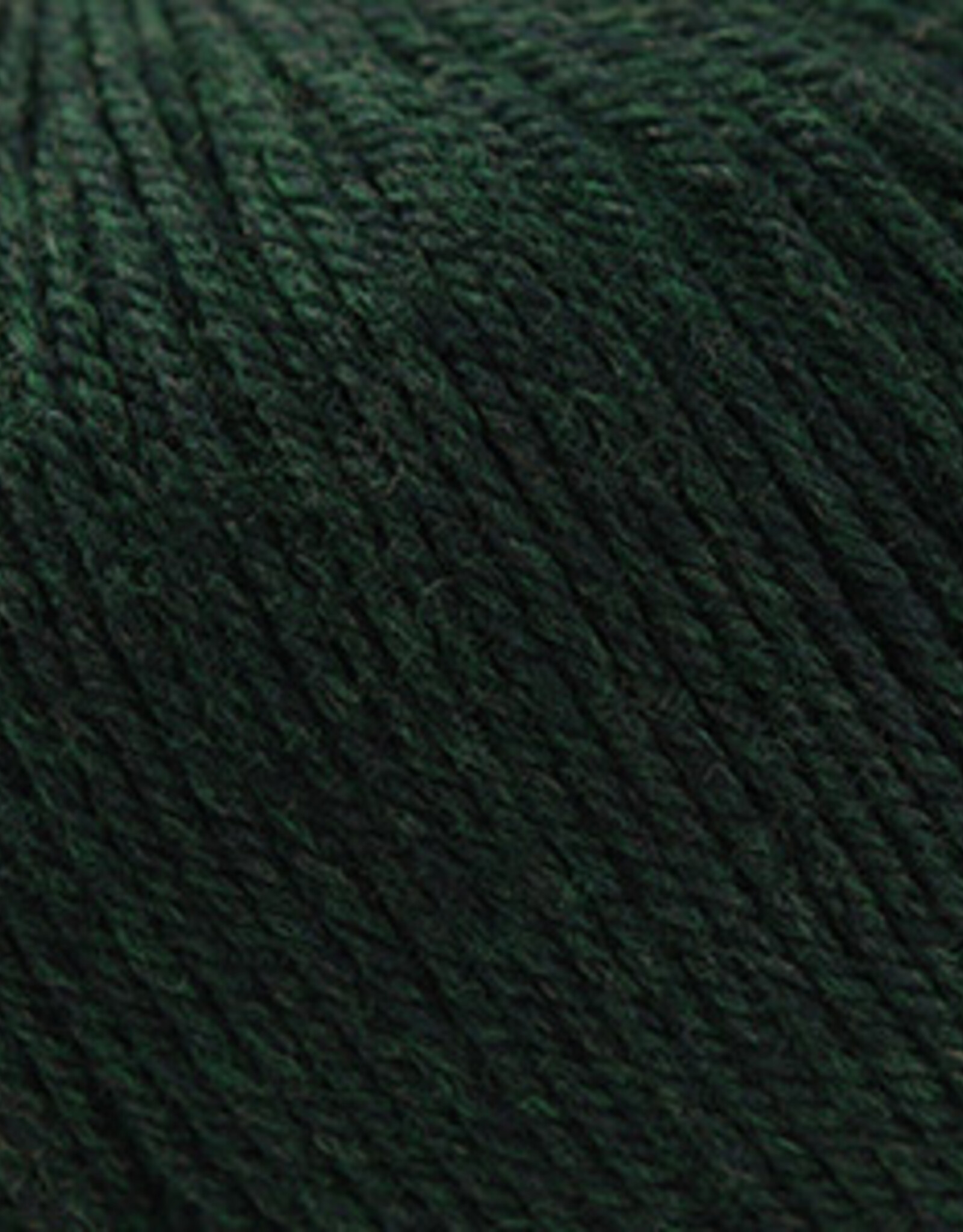 Cascade 220 SW Worsted 866 Forest H