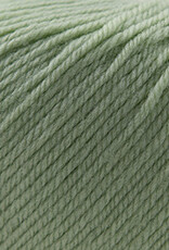 Cascade 220 SW Worsted 250 Laurel Green