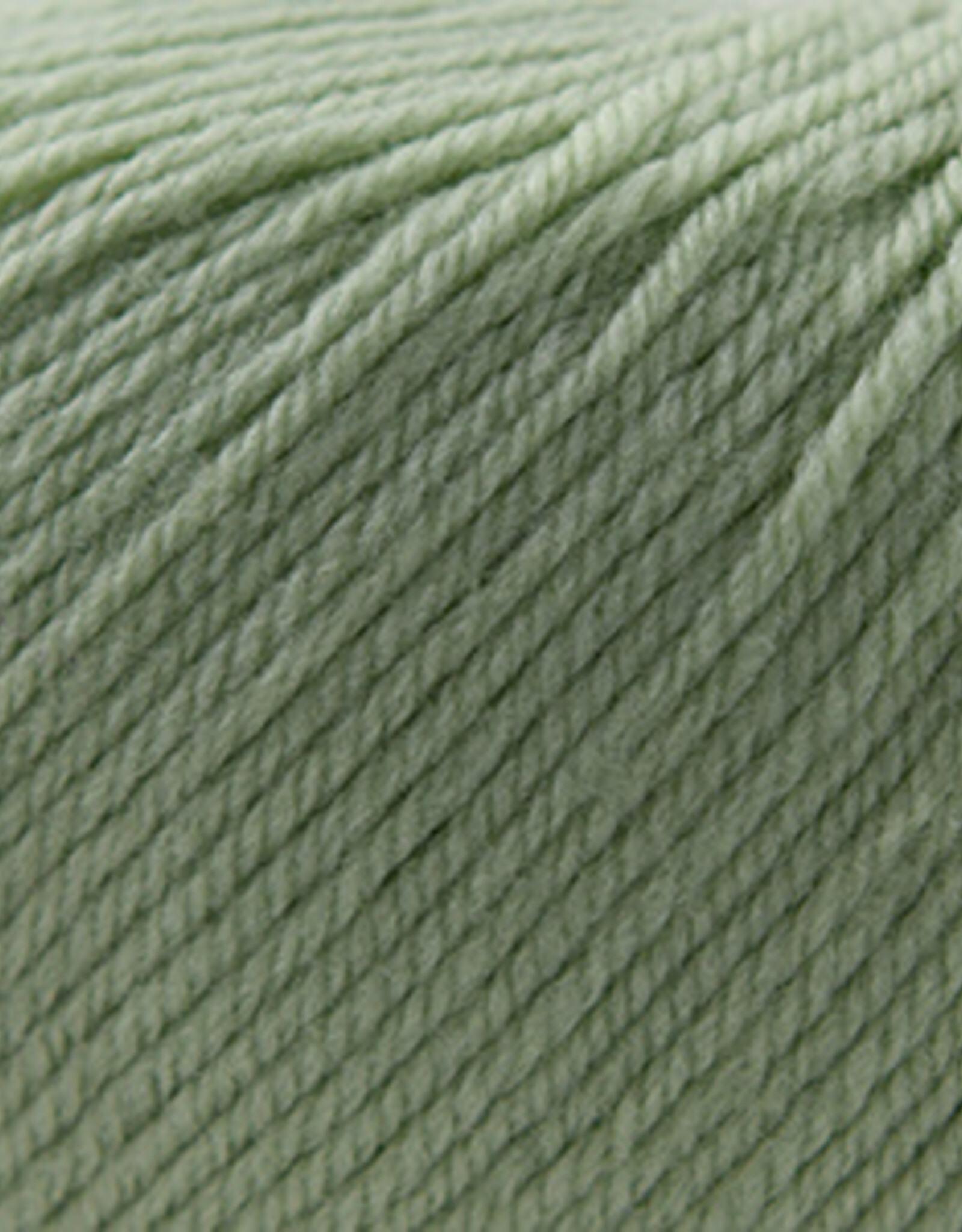 Cascade 220 SW Worsted 250 Laurel Green