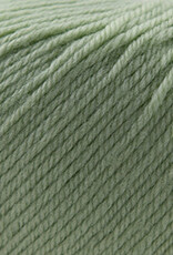 Cascade 220 SW Worsted 250 Laurel Green