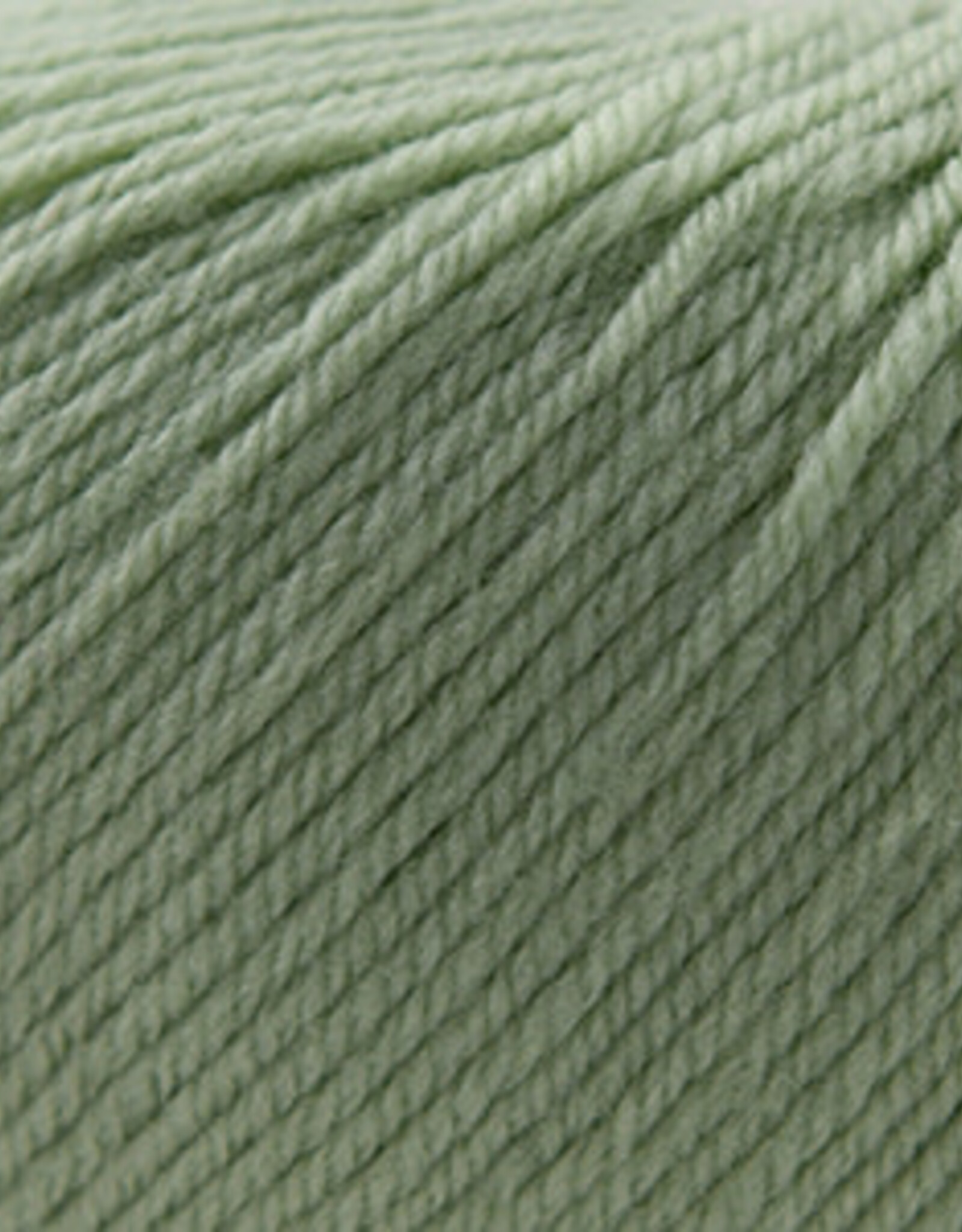 Cascade 220 SW Worsted 250 Laurel Green