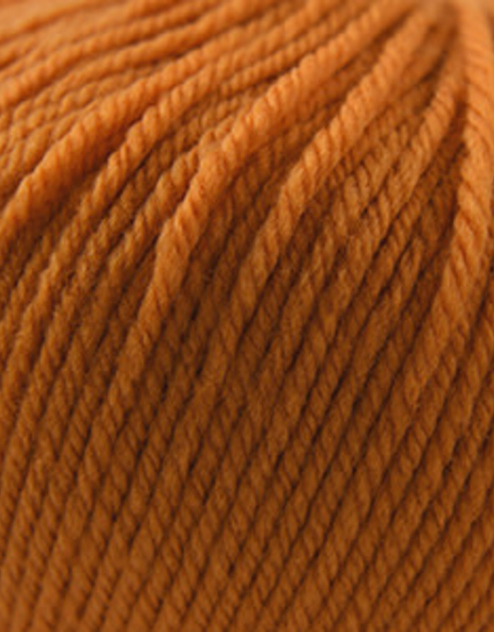 Cascade 220 SW Worsted 253 Desert Sun