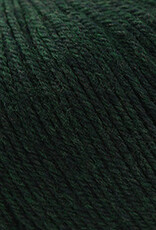 Cascade 220 SW Worsted 866 Forest H