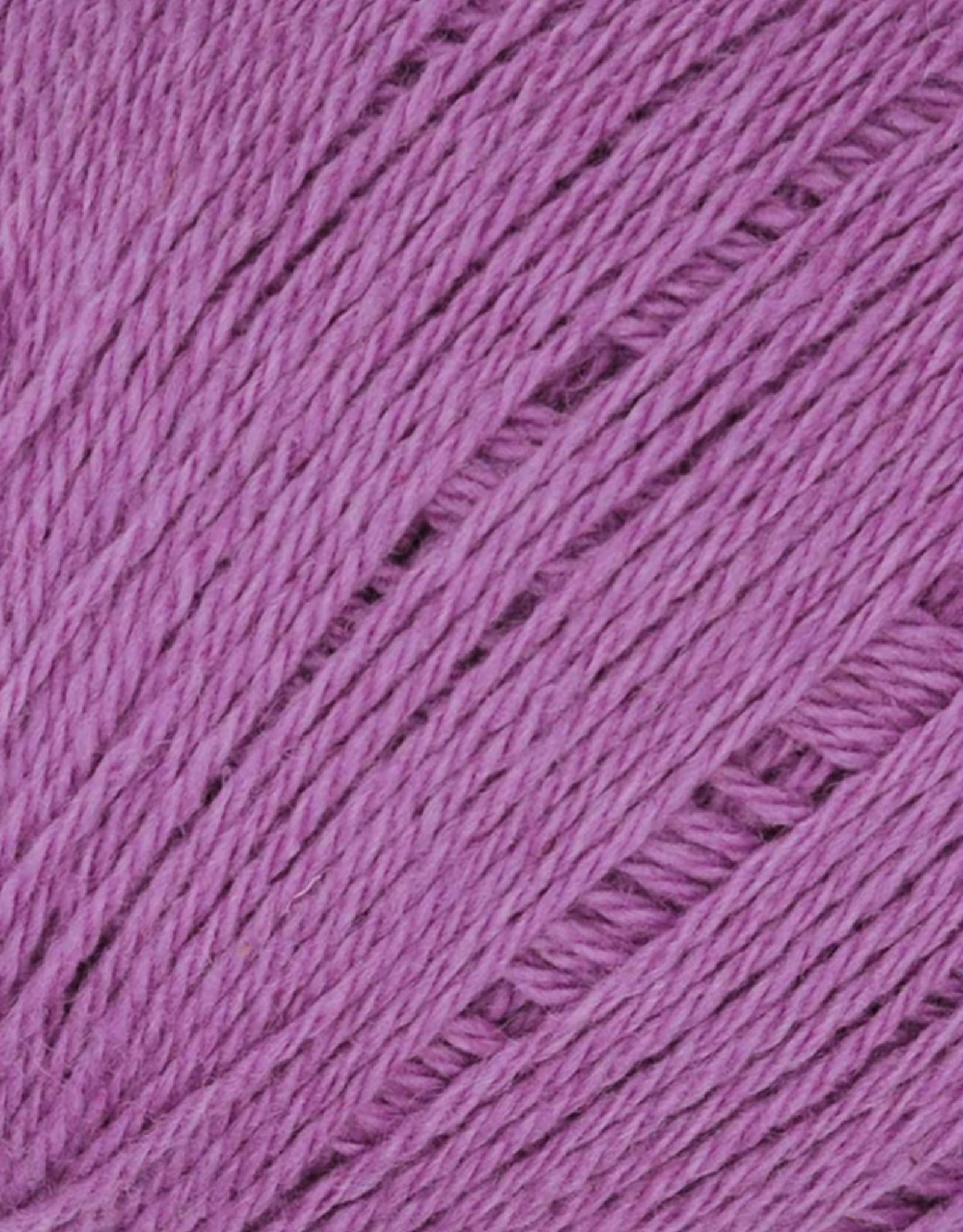 Queensland United 50g 47 Iris