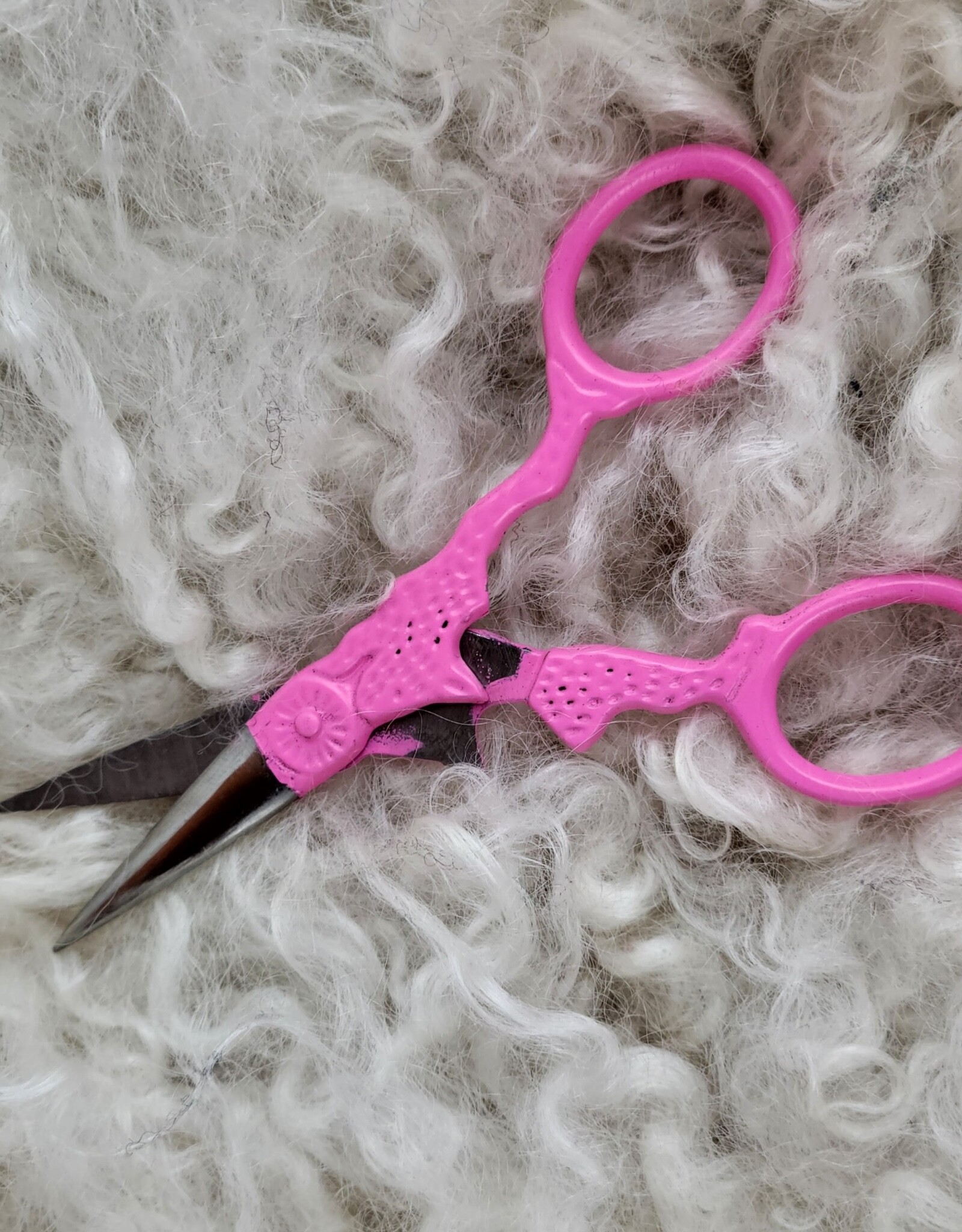 Stainless Steel Scissor