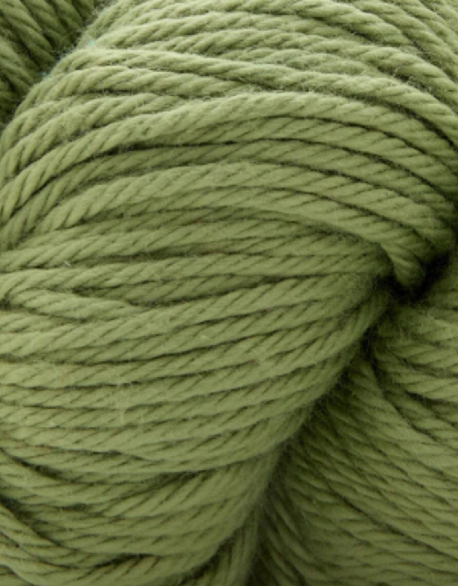 Universal Yarns Cotton Supreme 100g  Herb