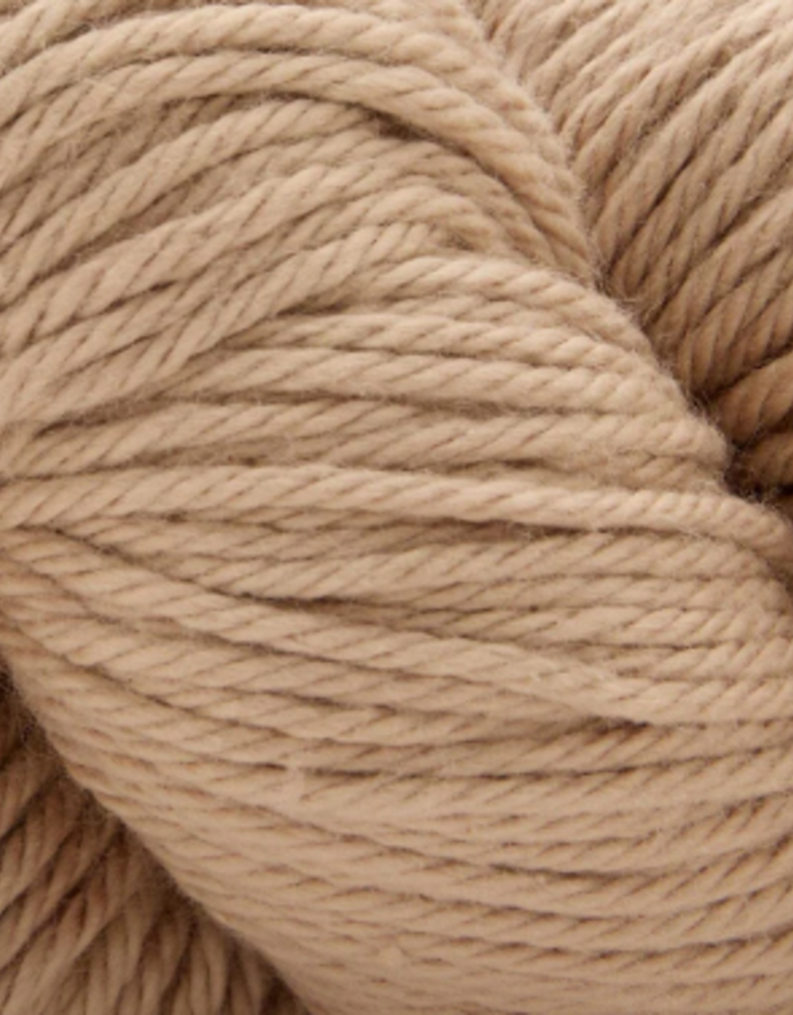Universal Yarns Cotton Supreme 100g  Beige