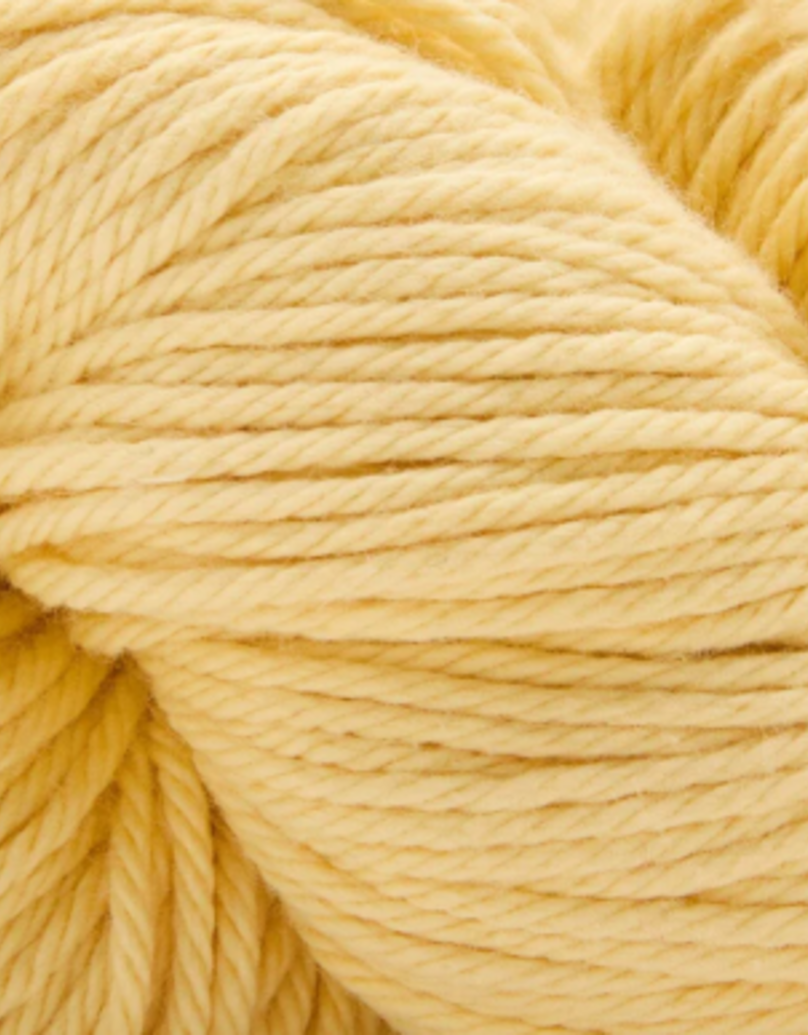 Universal Yarns Cotton Supreme 100g  Yellow
