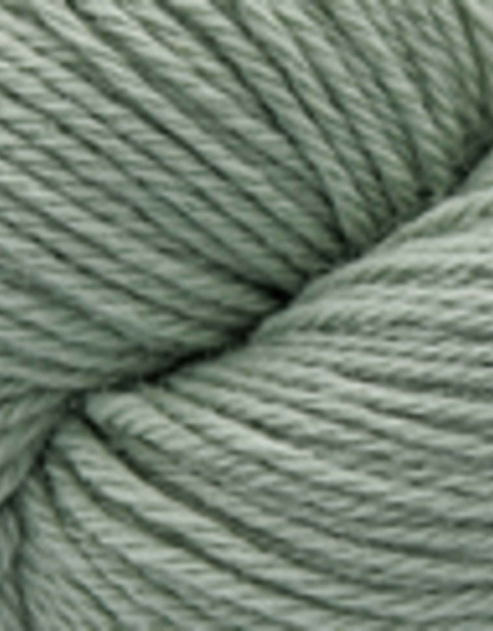 Cascade Cascade 220 Worsted 1059 Sea Grass