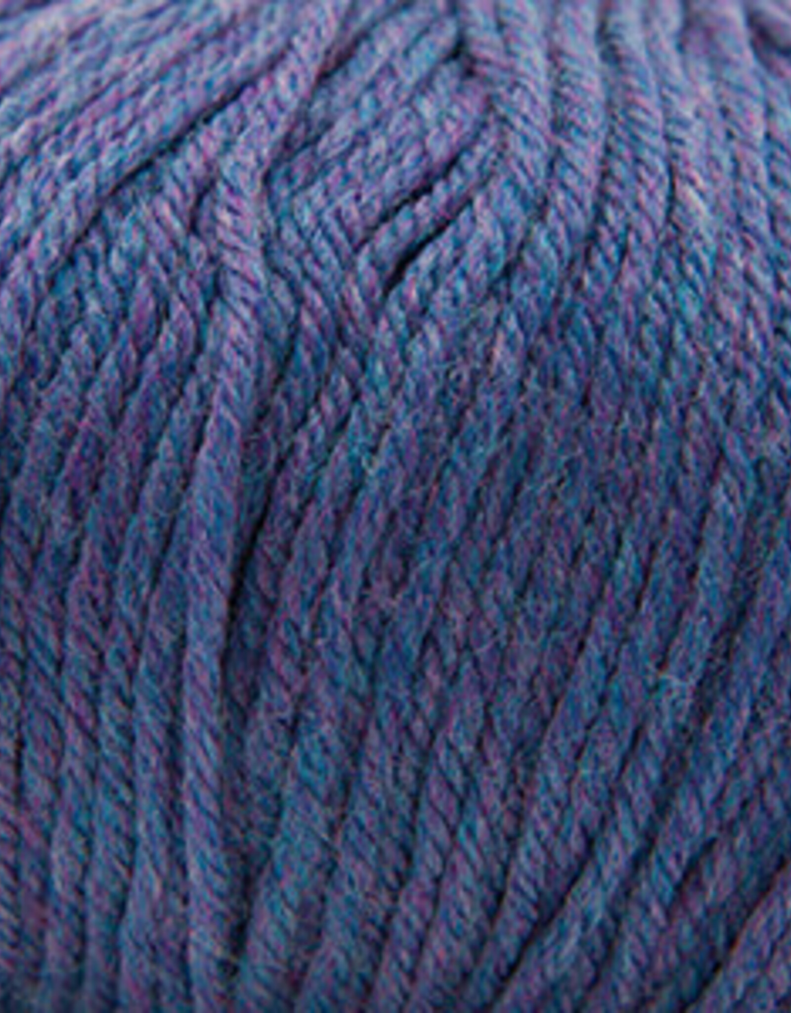Cascade 220 SW Worsted 374 Blueberry Heather