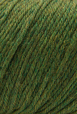 Cascade 220 SW Worsted 376 Irelande