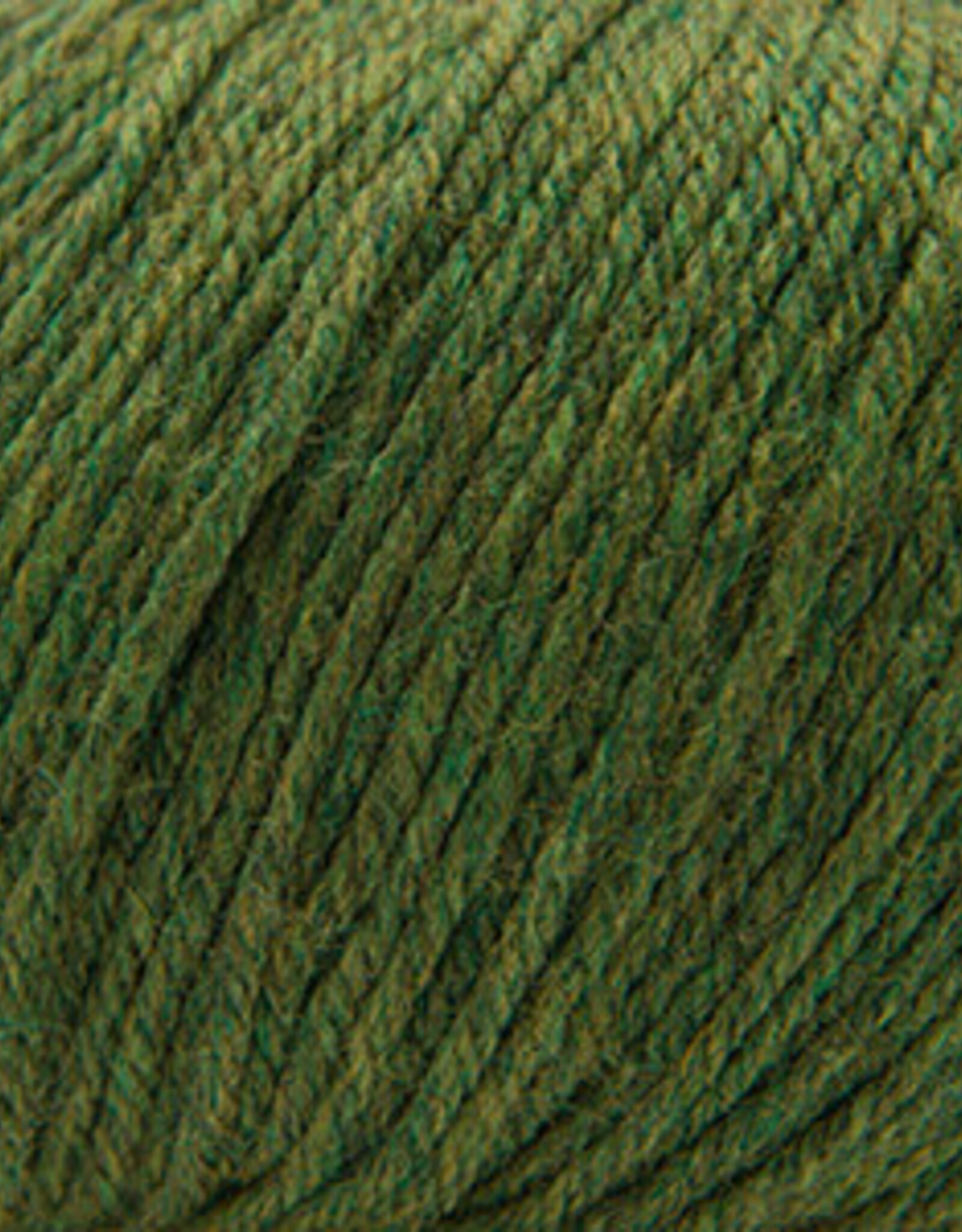 Cascade 220 SW Worsted 376 Irelande
