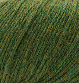 Cascade 220 SW Worsted 376 Irelande