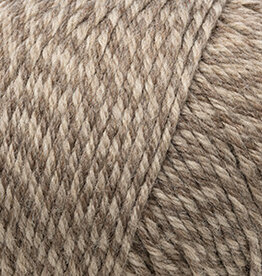 Cascade 220 SW Worsted 400 Walnut Marl