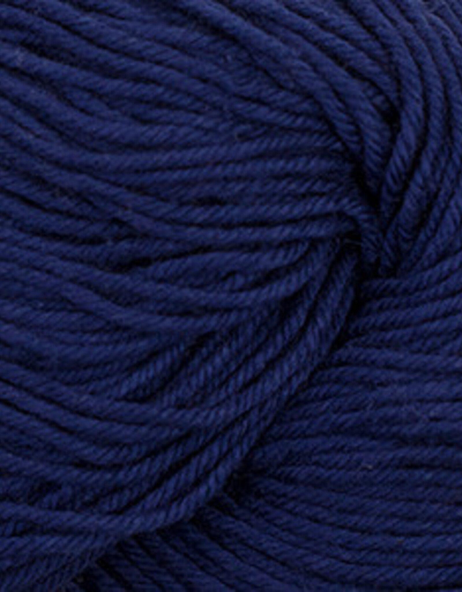 Nifty Cotton  14 Sapphire