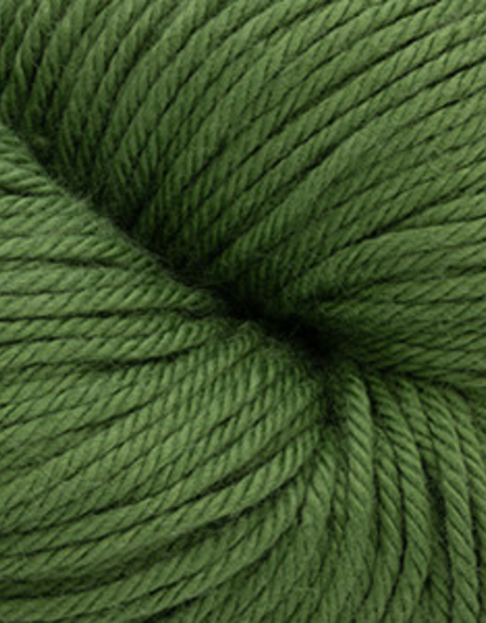 Nifty Cotton 32 Chive
