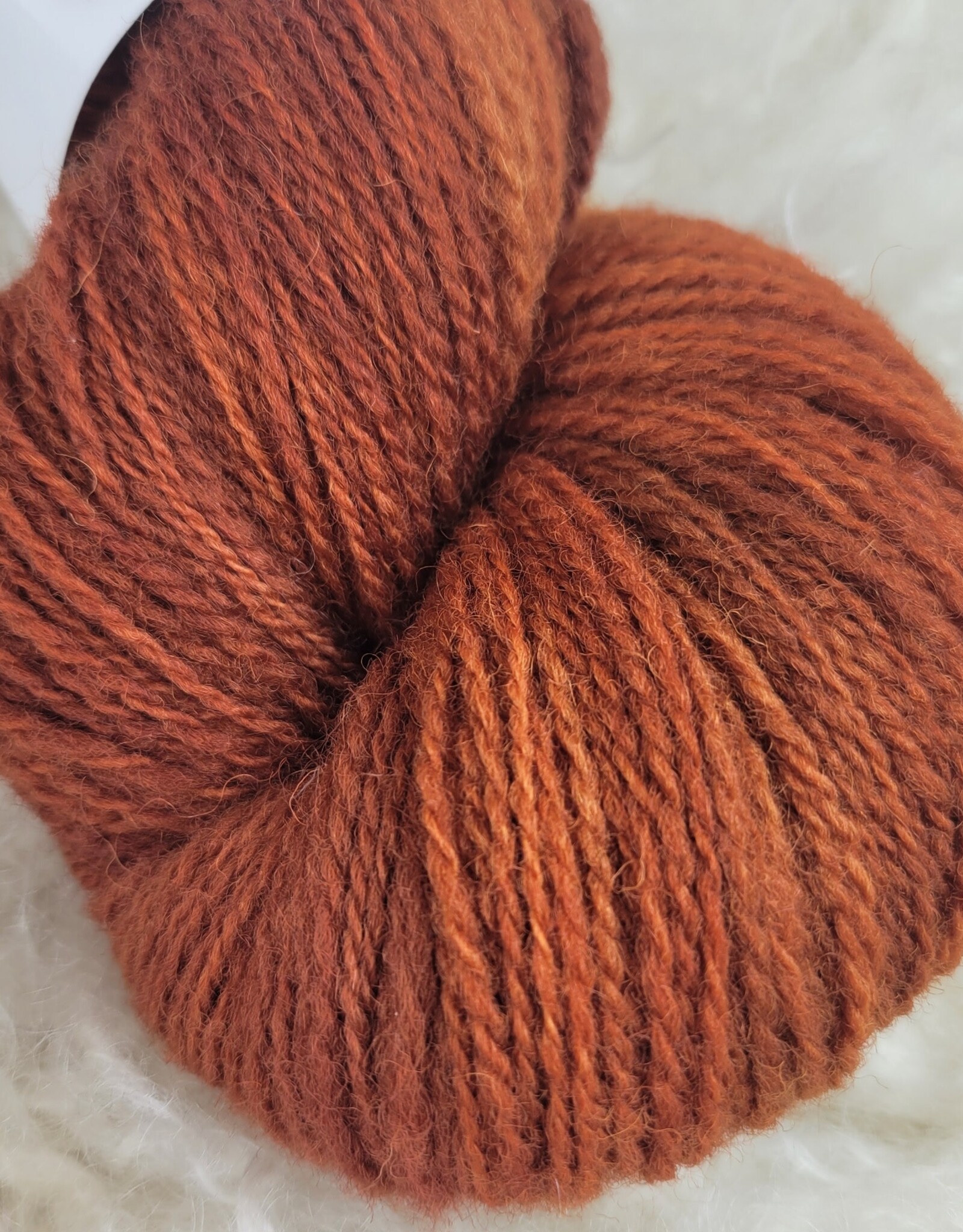 Palouse Yarn Palouse Yarn Company Dorset Horn Sport 100g