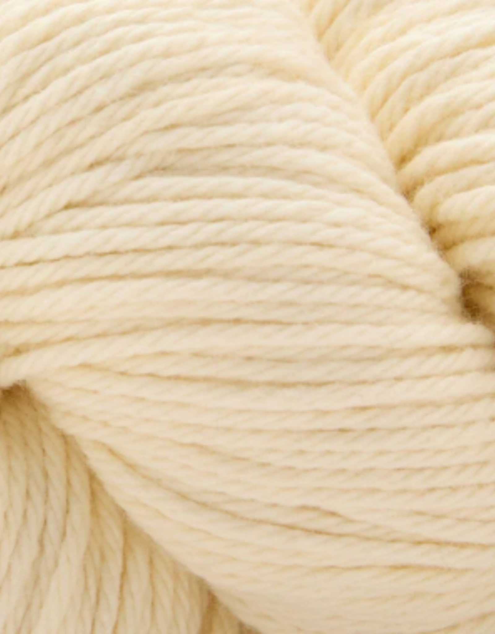 Universal Yarns Cotton Supreme 100g  503 Ecru