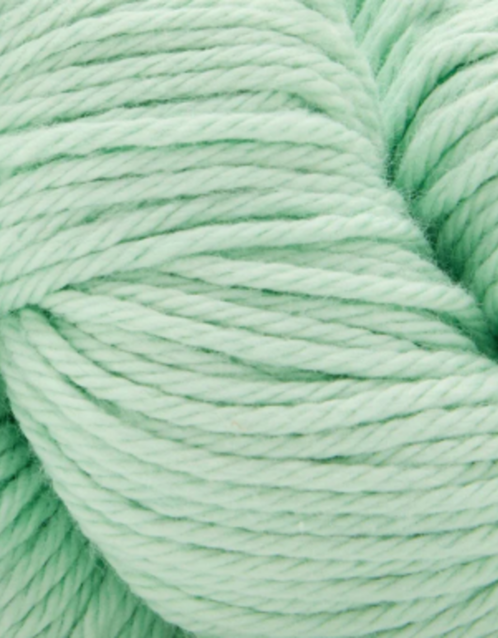 Universal Yarns Cotton Supreme 100g  617 Seafoam