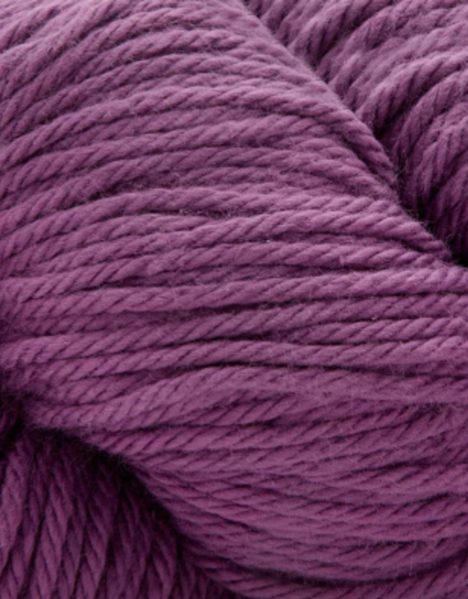 Universal Yarns Cotton Supreme 100g  641 Dahlia