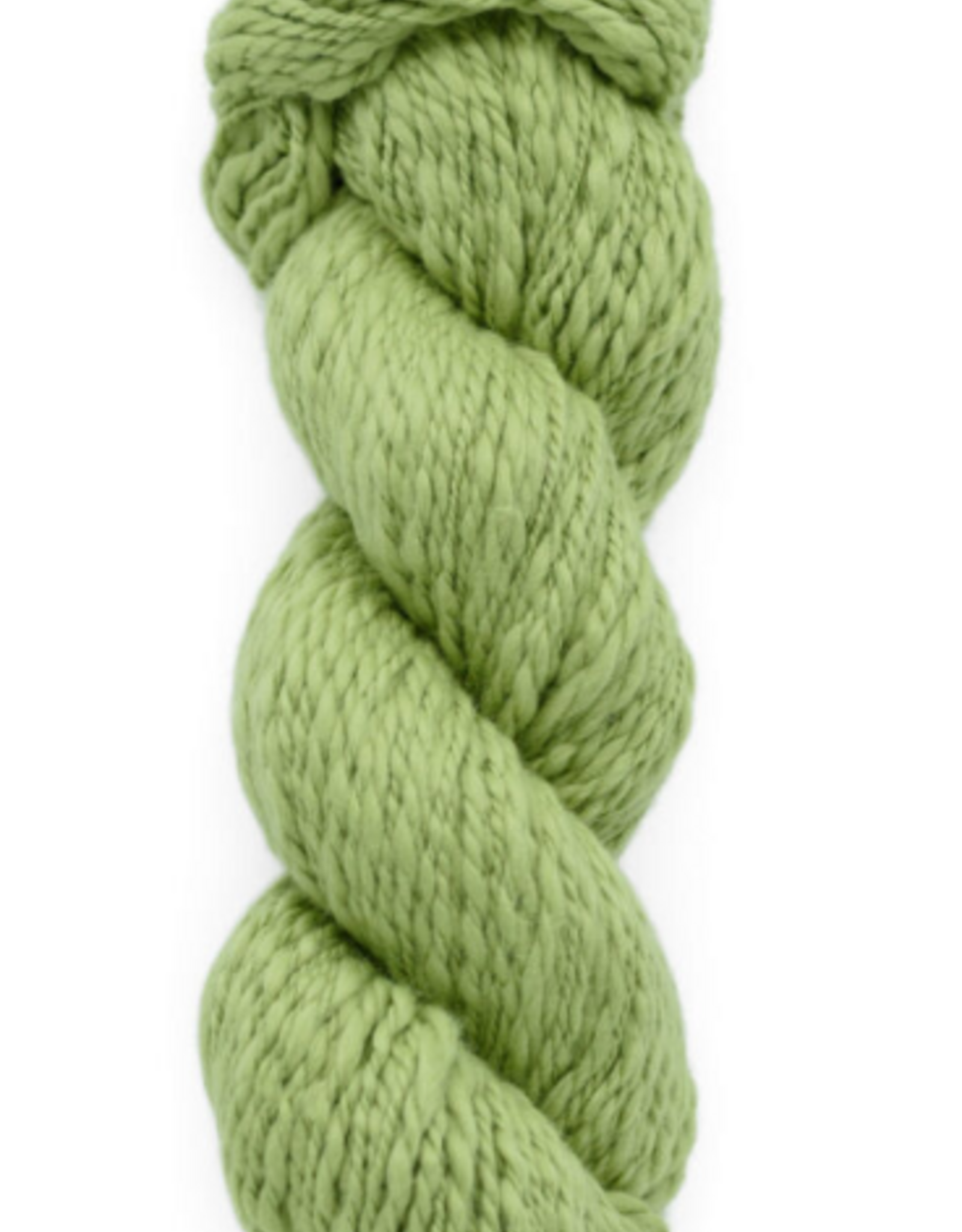 Galler Yarns Inca Eco Cotton 100g Pistachio