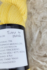 Two Springs Fiber Two Springs Fiber Arts Time to Hatch Sock