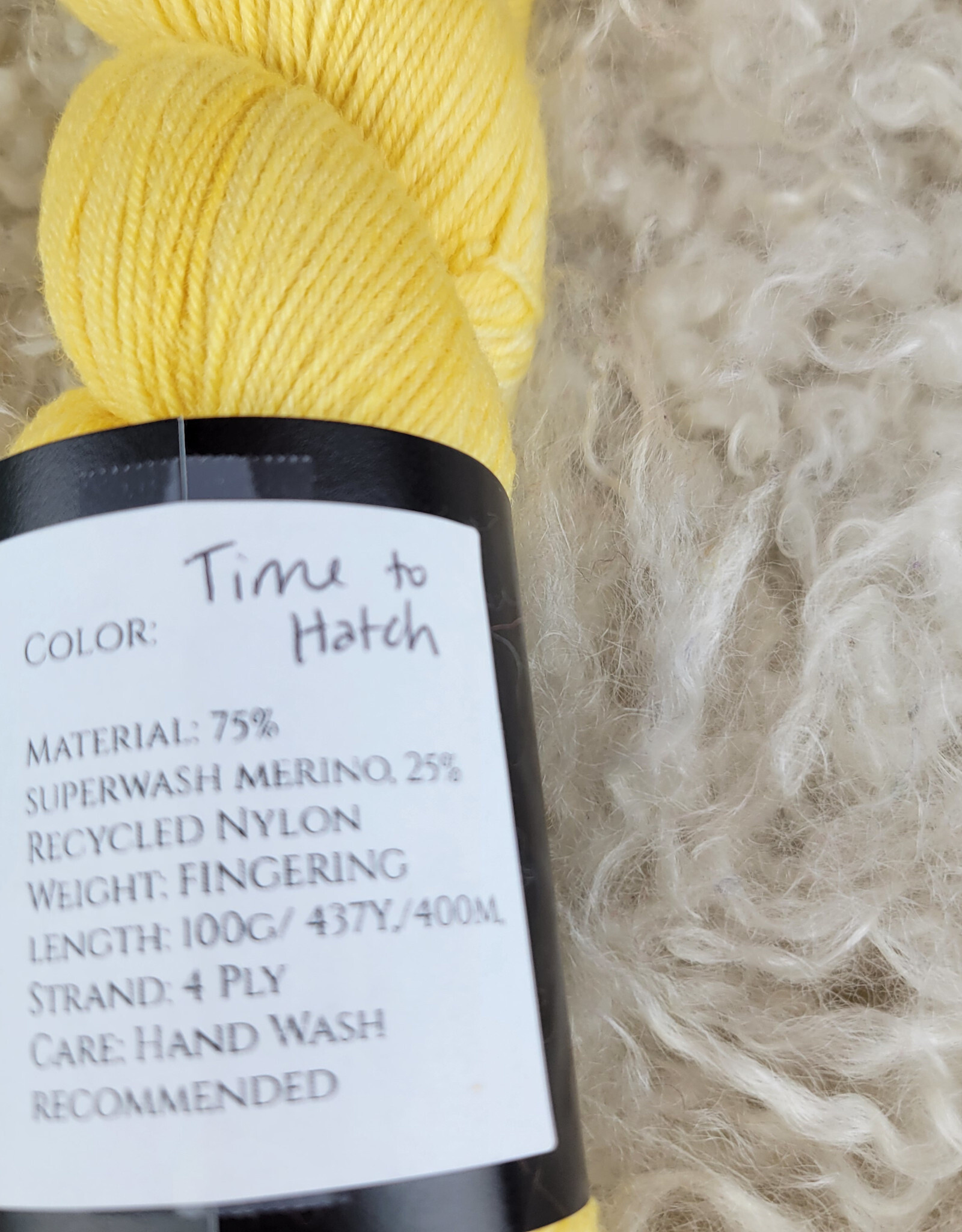 Two Springs Fiber Two Springs Fiber Arts Time to Hatch Sock