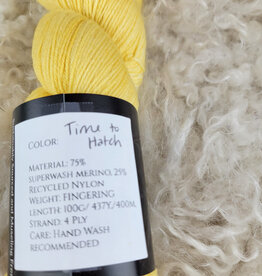 Two Springs Fiber Two Springs Fiber Arts Time to Hatch Sock