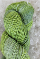 Two Springs Fiber Two Springs Fiber Arts Grass Clippings  Fingering