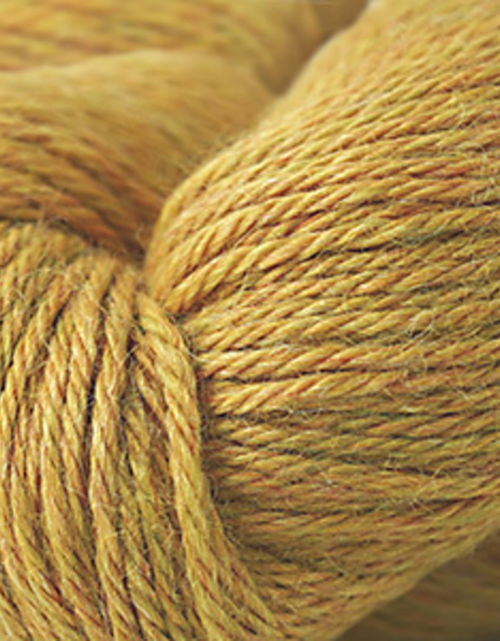 Cascade Pure Alpaca golden heather