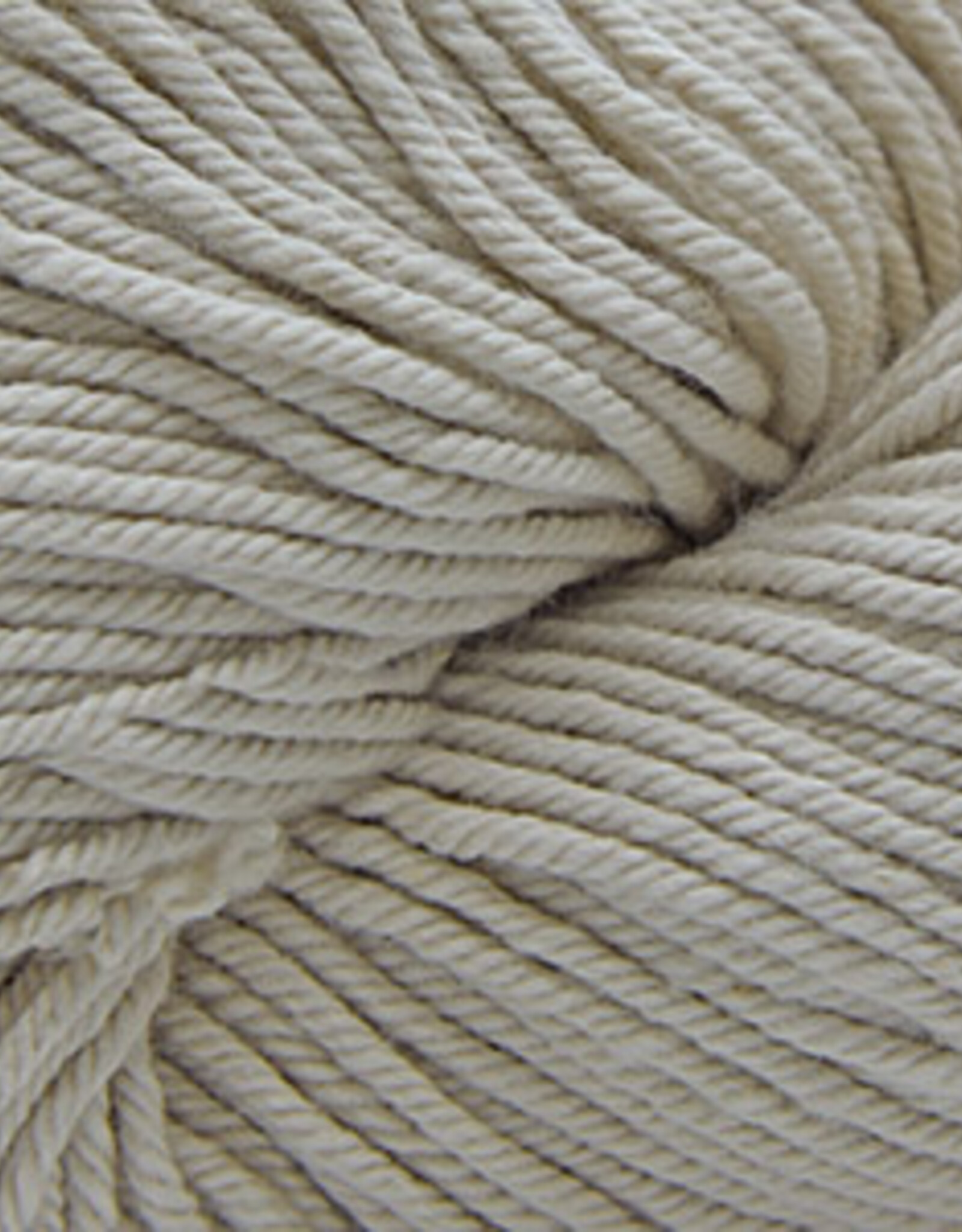 Nifty Cotton 50 Moonbeam