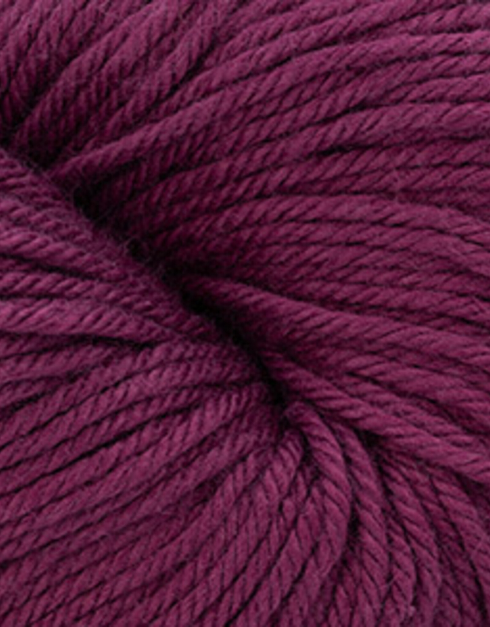 Nifty Cotton 25 Berry