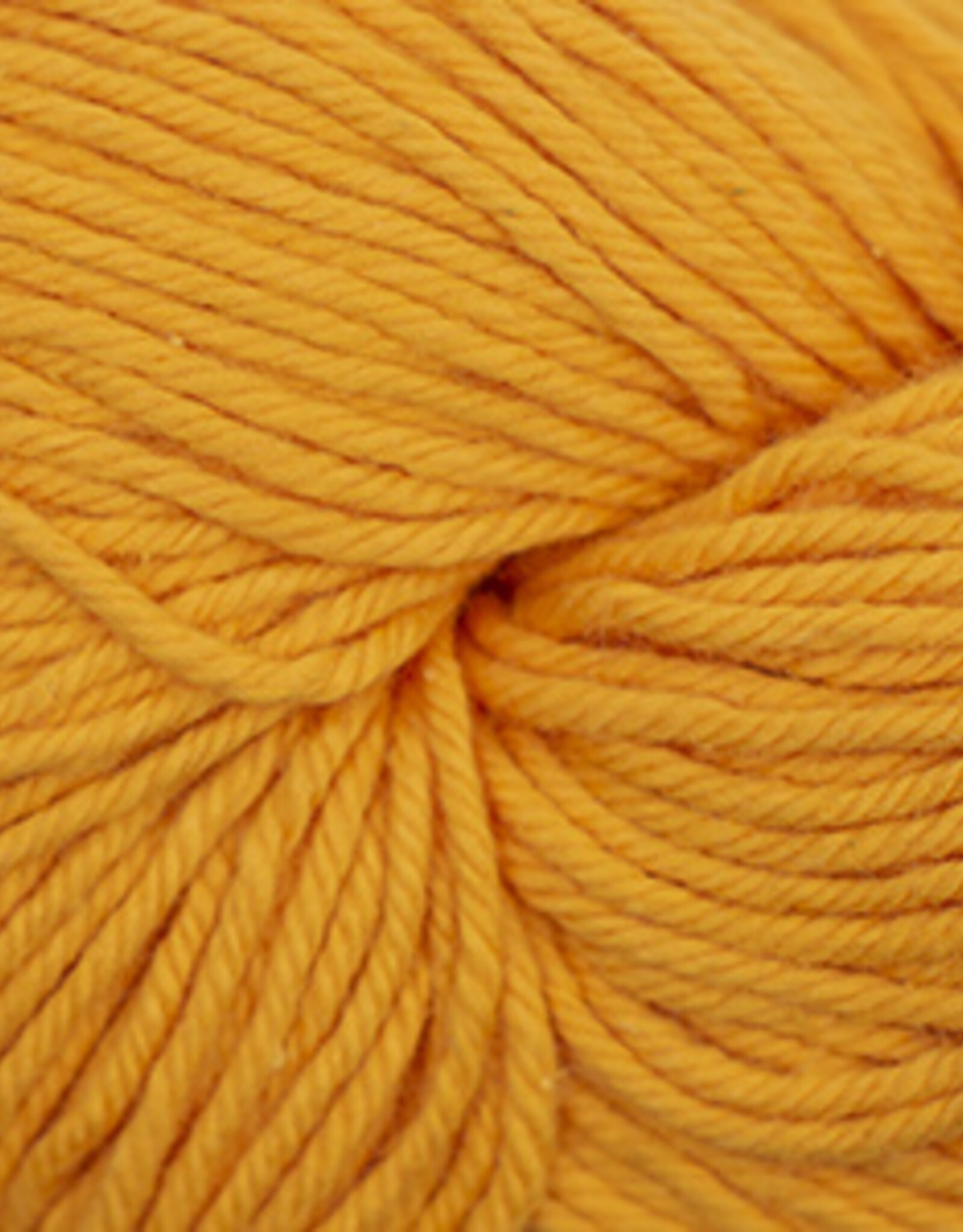 Nifty Cotton 23 Marigold