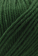 Cascade 220 SW Worsted 801 Army Green