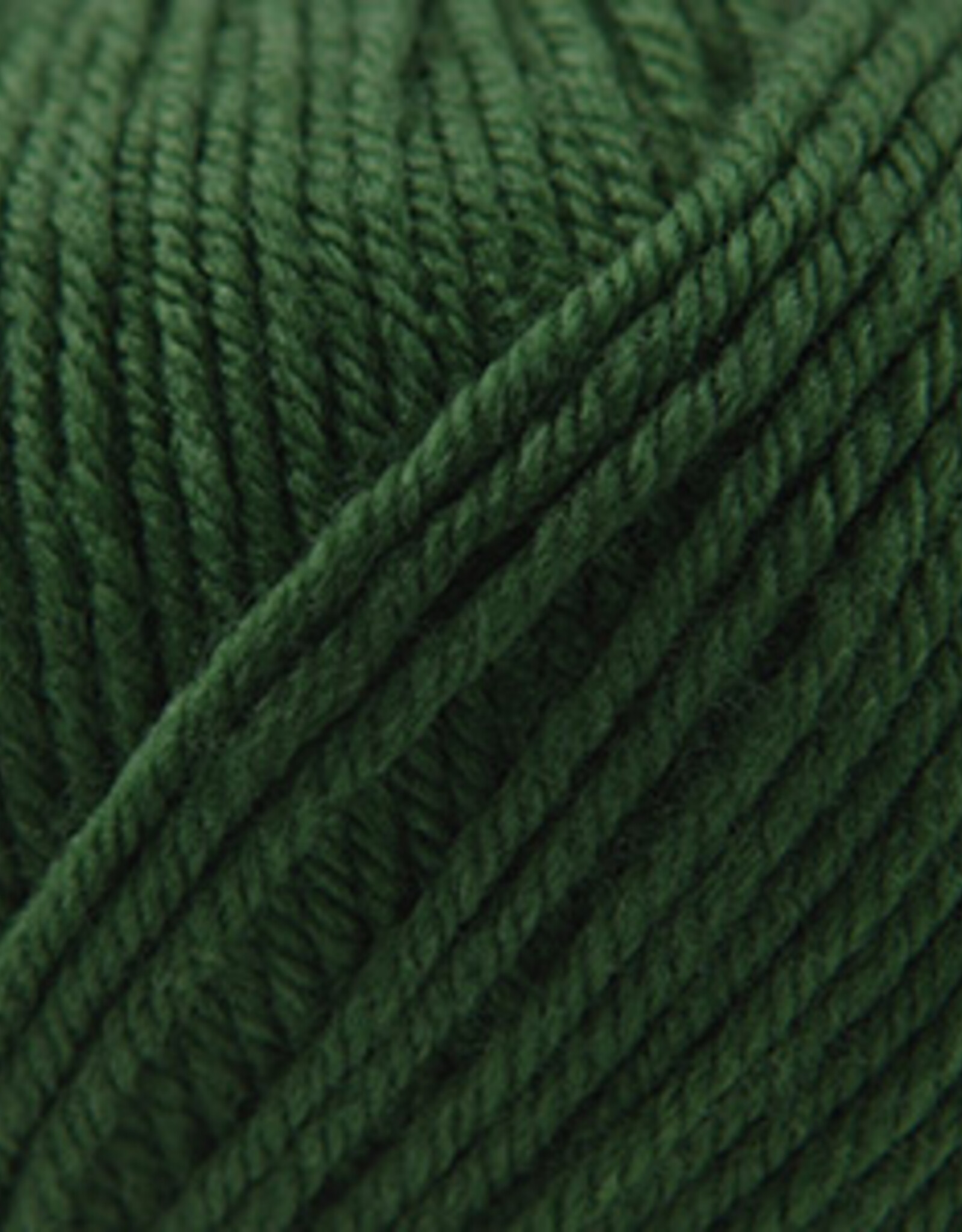 Cascade 220 SW Worsted 801 Army Green