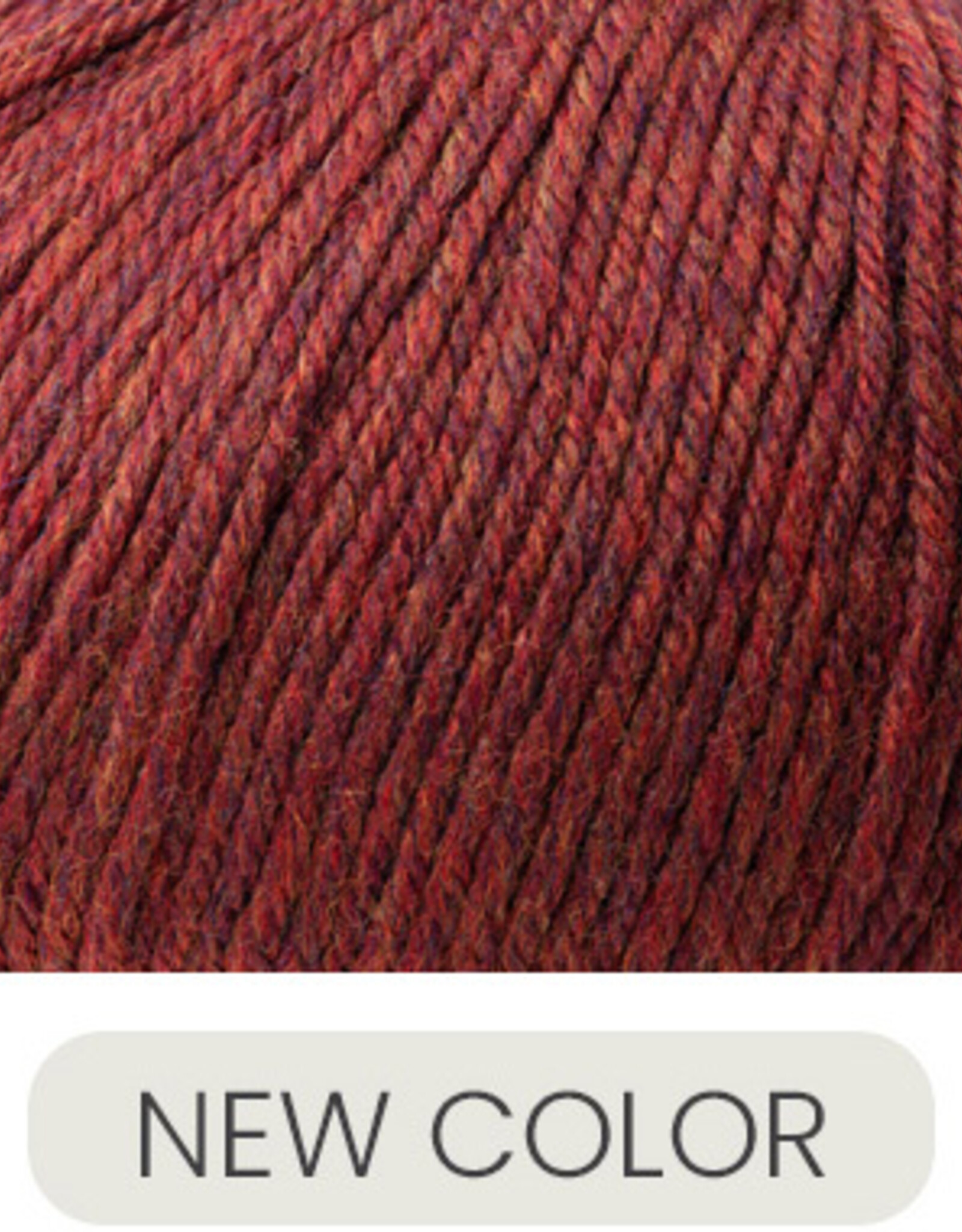 Cascade 220 SW Worsted 413 Burnt Ochre