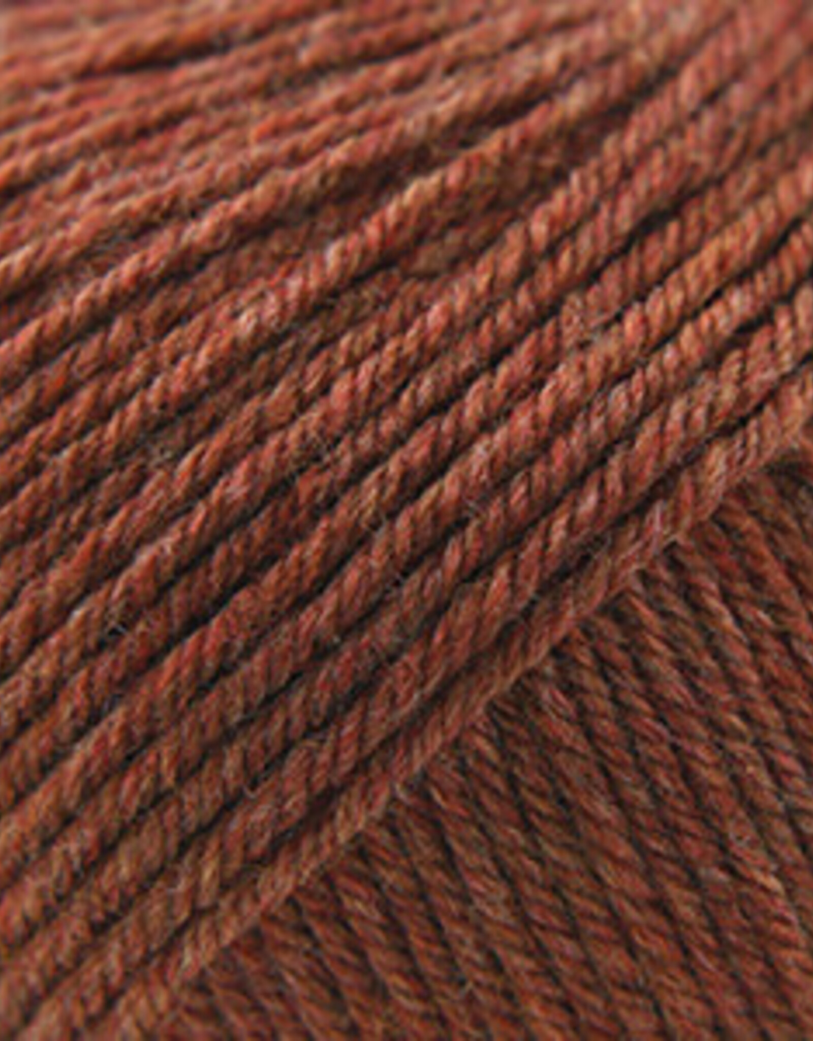 Cascade 220 SW Worsted 1920 Pumpkin Spice