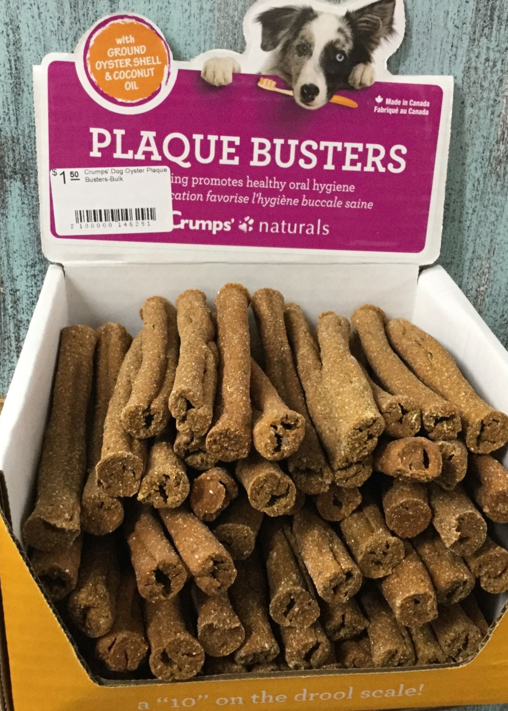 Crumps Crumps' Dog Oyster Plaque Busters-Bulk