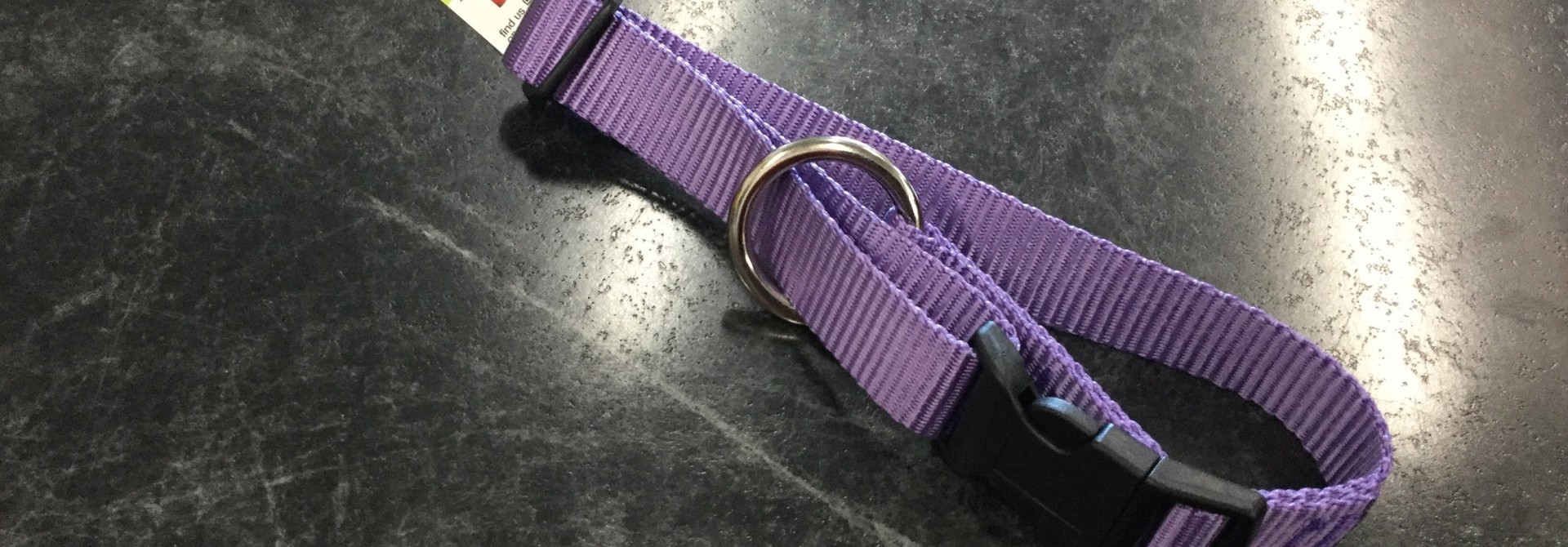 1" Adjustable Dog Collar Purple 14-22”