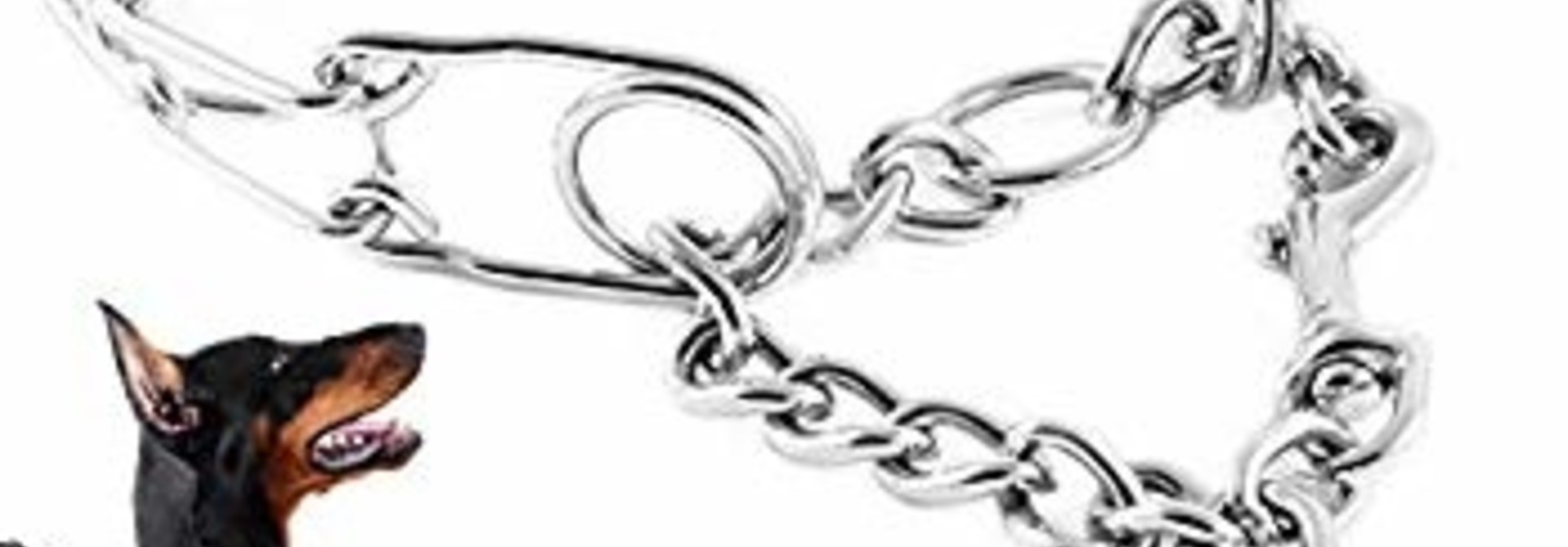 BURG Links for D-2066 (Extra heavy duty)