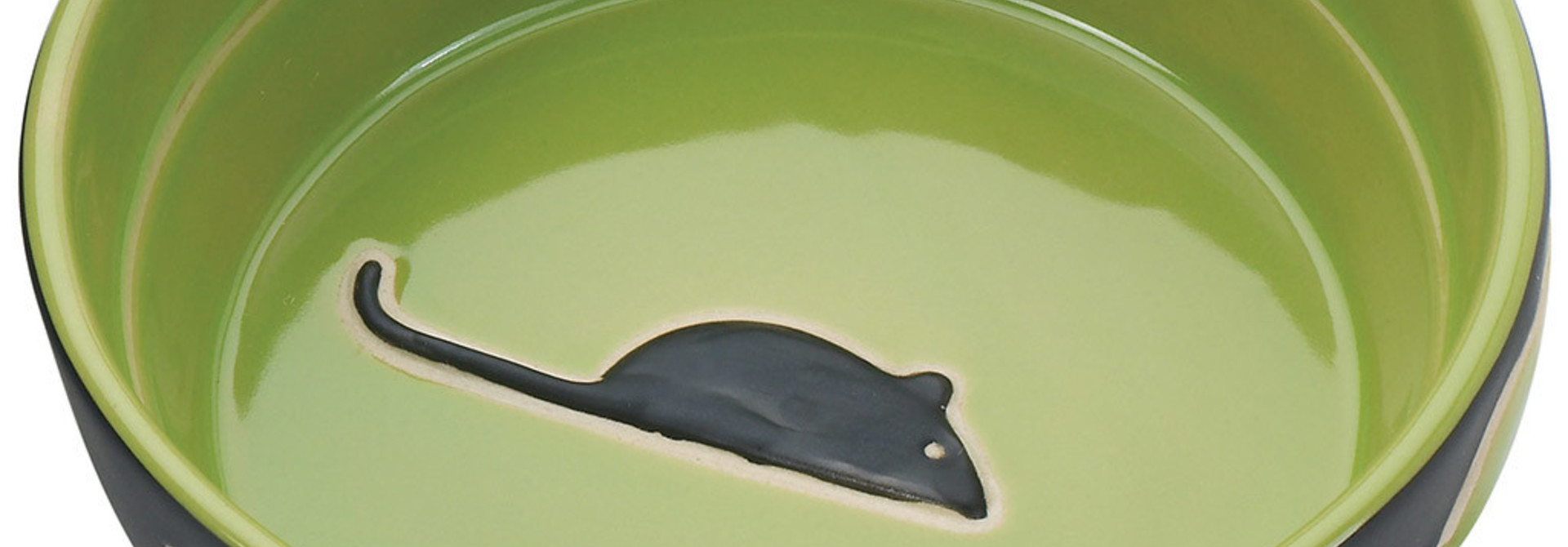 Fresco Cat Dish Green 5